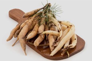 شاتاوری؛ گیاه دارویی با خواص بسیار