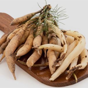 شاتاوری؛ گیاه دارویی با خواص بسیار